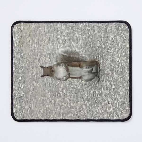 Item preview, Squirrel Standing designed and sold by Amanda1775.