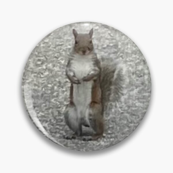 Item preview, Squirrel Standing  designed and sold by Amanda1775.