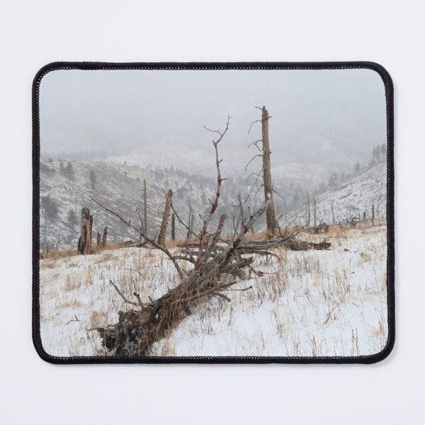 Item preview, Around Ruidoso II designed and sold by zumi.
