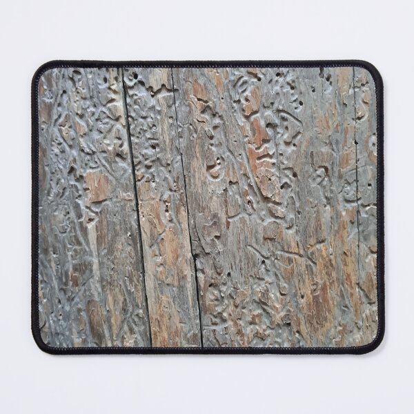 Item preview, The Log's Surface: A Labyrinth of Nature's Design designed and sold by LiviaPenroseDesigns.