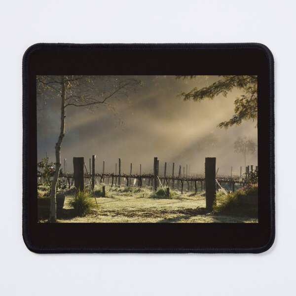 Item preview, Sunrise in the Vines - Adelaide Hills Wine Region - Fleurieu Peninsula - South Australia designed and sold by MagpieSprings.