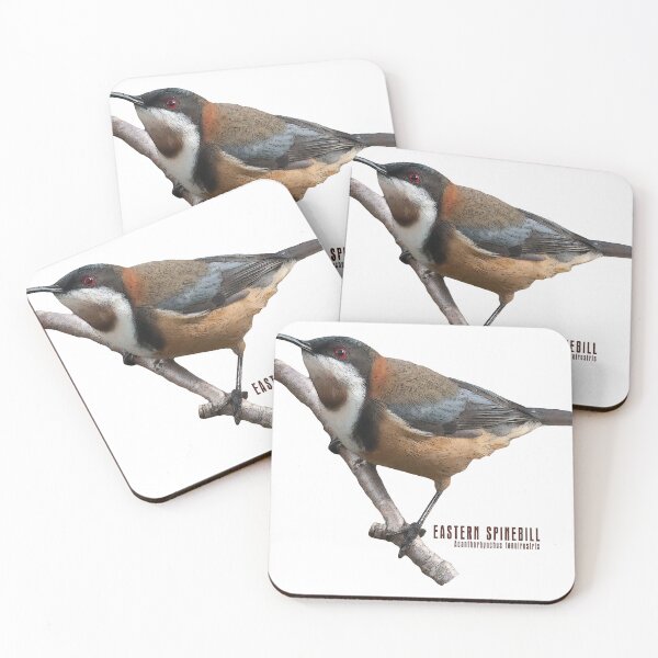 Item preview, Eastern Spinebill_01C designed and sold by SEADOGPRINTS.