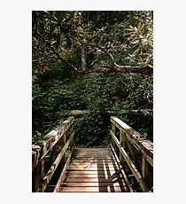 Bridge to Desoto Falls Photographic Print