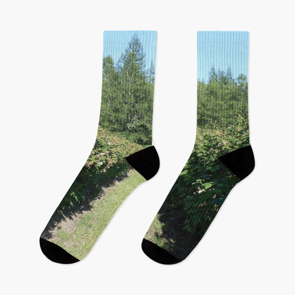 Item preview, Lush Raspberry Field in the PNW Countryside designed and sold by starcraft542.