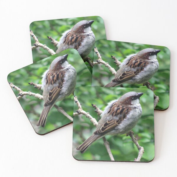 Item preview, acecho designed and sold by KathleenDawson.