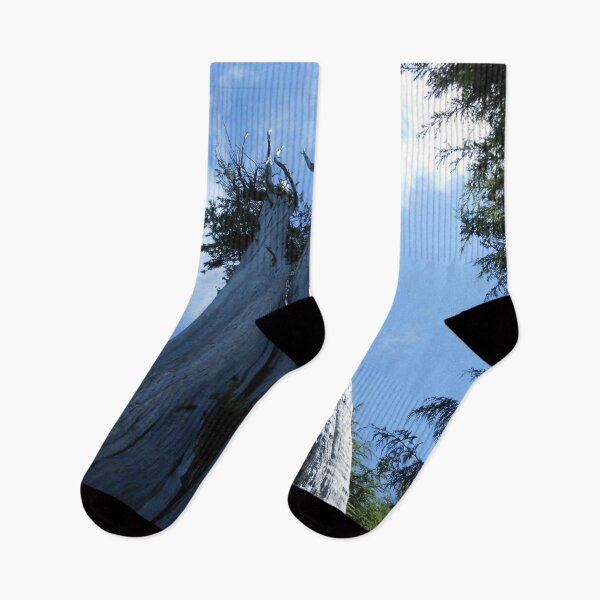 Item preview, Majestic Cedar Tree – Pacific Northwest Forest designed and sold by starcraft542.