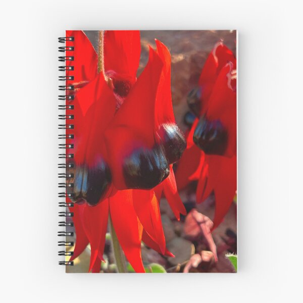 Item preview, Sturt’s Desert Pea designed and sold by Yarakmay.