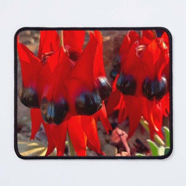 Item preview, Sturt’s Desert Pea designed and sold by Yarakmay.