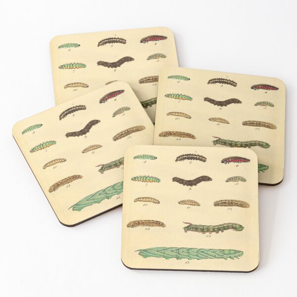 Item preview, Vintage Caterpillar Study Entomology Print designed and sold by matchaforest.