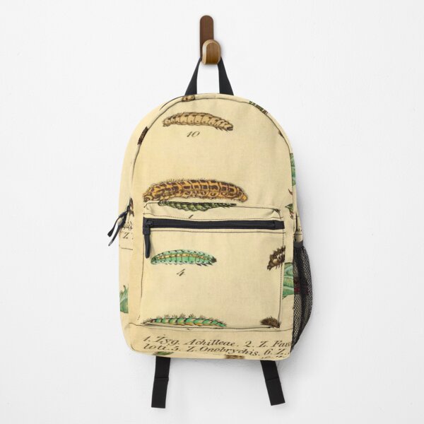 Item preview, Vintage Caterpillar Study Entomology Print designed and sold by matchaforest.