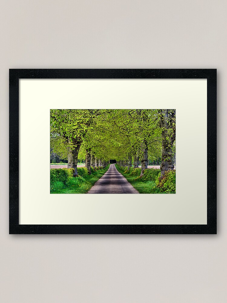 Alternate view of Hexgrave Hall Estate Framed Art Print