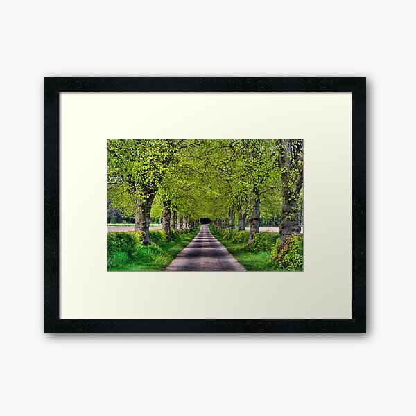 Hexgrave Hall Estate Framed Art Print