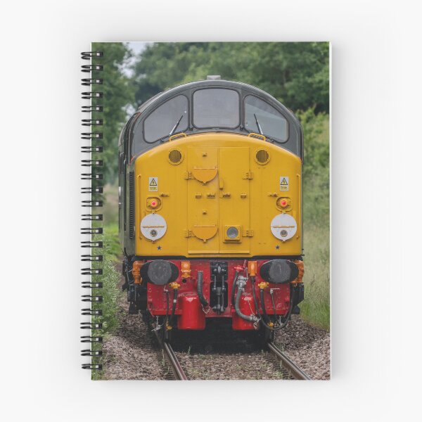 Artikelvorschau, Englische Elektrolokomotive D213 entworfen und verkauft von RobWalkley.