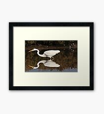The Egret Framed Print