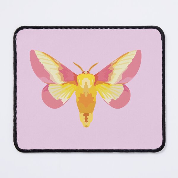 Item preview, R is for Rosy Maple Moth ,Rosy Maple Moth – Vibrant Pink and Yellow Saturniidae Moth Illustration designed and sold by PrettylittlepastelUk.