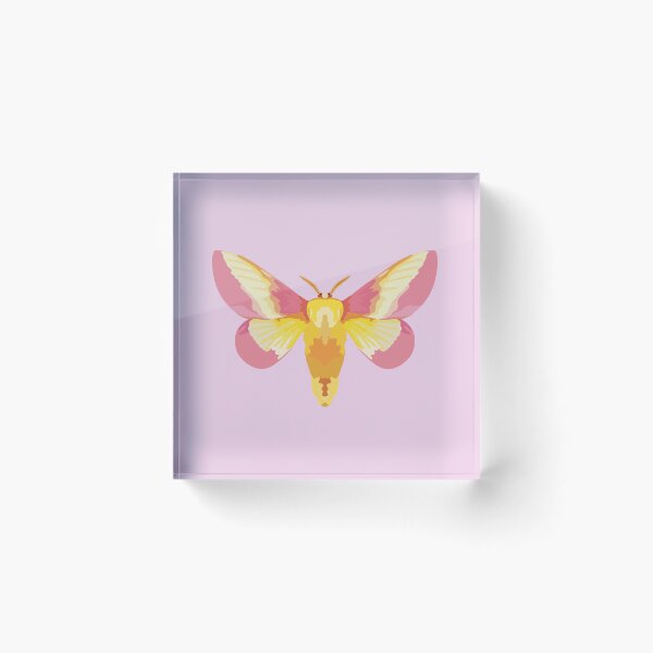 Item preview, R is for Rosy Maple Moth ,Rosy Maple Moth – Vibrant Pink and Yellow Saturniidae Moth Illustration designed and sold by PrettylittlepastelUk.