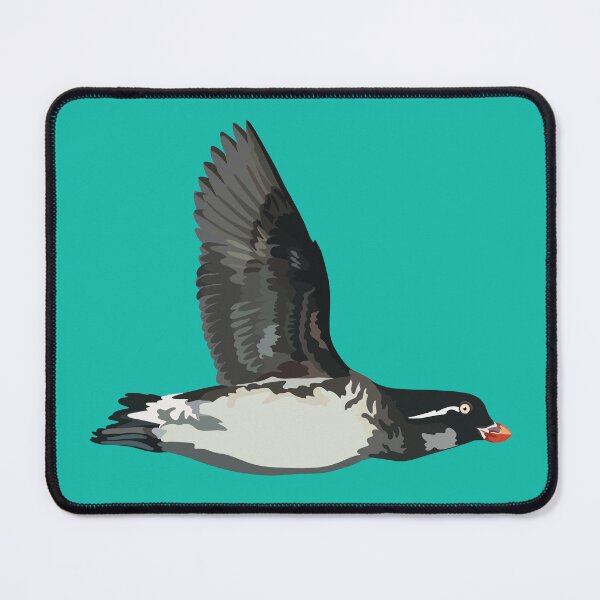Item preview, P is for Parakeet Auklet, Parakeet Auklet – Quirky Seabird Art for Bird Lovers designed and sold by PrettylittlepastelUk.