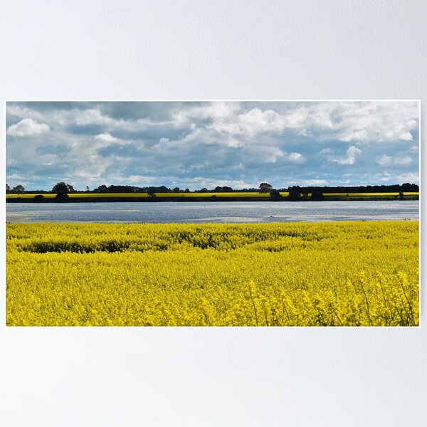 Item preview, Dramatic Streatham Beauty designed and sold by Yolanda Caporn Art.