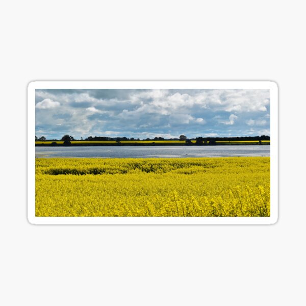 Item preview, Dramatic Streatham Beauty designed and sold by Yolanda Caporn Art.