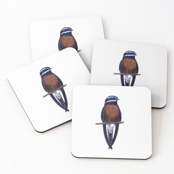 Item preview, Whiskered Treeswift, the most beautiful swallow designed and sold by wonderisland.