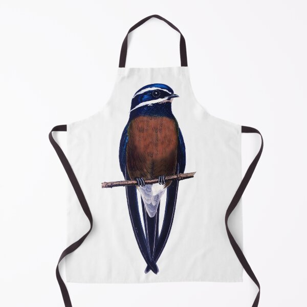 Item preview, Whiskered Treeswift, the most beautiful swallow designed and sold by wonderisland.
