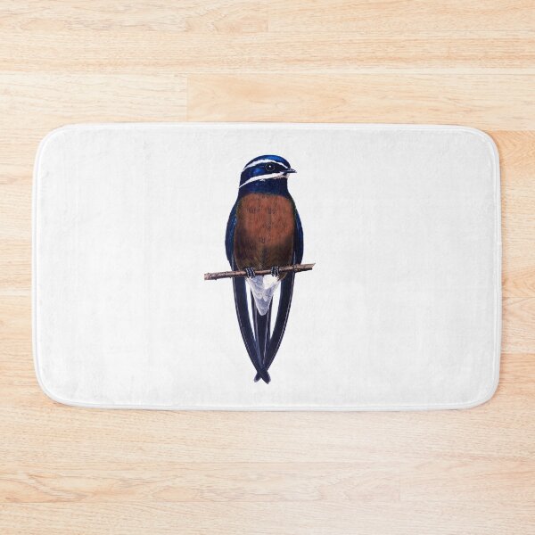 Item preview, Whiskered Treeswift, the most beautiful swallow designed and sold by wonderisland.