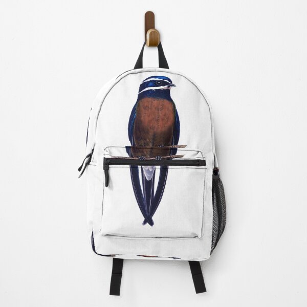 Item preview, Whiskered Treeswift, the most beautiful swallow designed and sold by wonderisland.