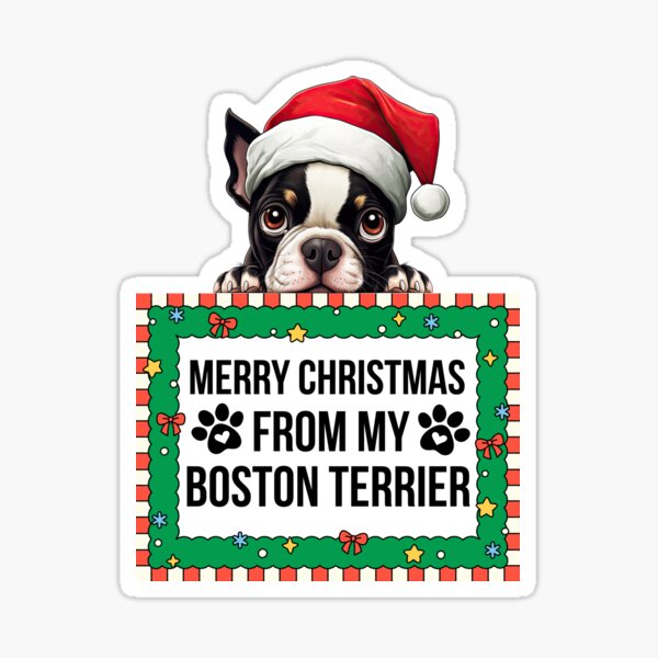 Item preview, Merry Christmas From My Boston Terrier designed and sold by TheAnimalZ00.