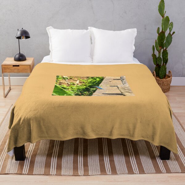 Item preview, Kingfisher Perched by Water’s Edge designed and sold by WingsOfWonders.