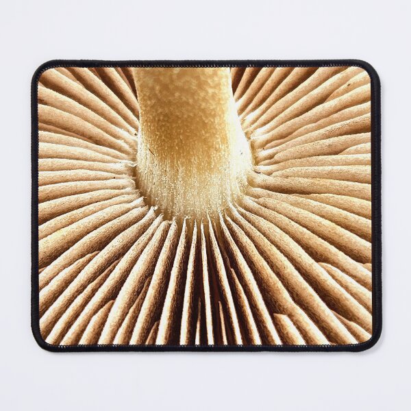 Item preview, Mushroom. designed and sold by jinxdinq.