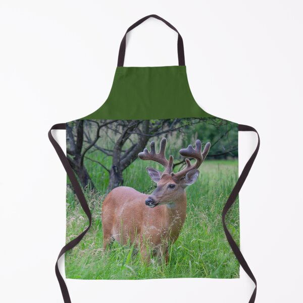 Item preview, Buck in velvet designed and sold by James Cumming.
