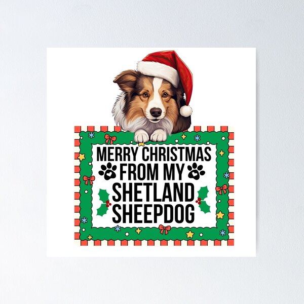 Item preview, Merry Christmas From My Shetland Sheepdog designed and sold by TheAnimalZ00.