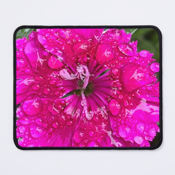 Item preview, Flower art designed and sold by Jennifer84.