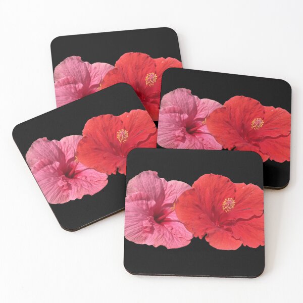 Item preview, Two Chinese hibidcus, background masked out. designed and sold by tnlisa.