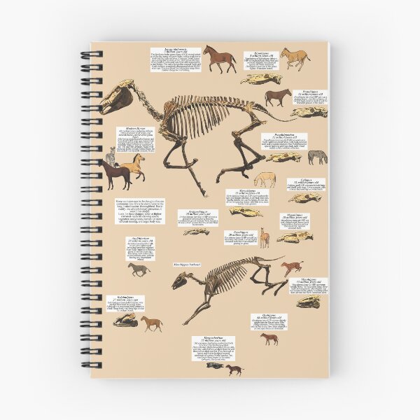 Item preview, Equine Evolution designed and sold by wiqwac.