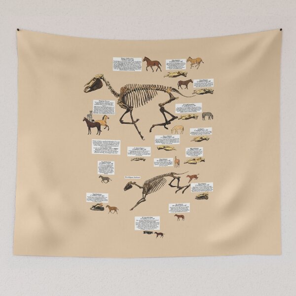 Item preview, Equine Evolution designed and sold by wiqwac.