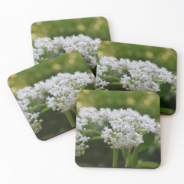 Item preview, White elderberry in the forest designed and sold by mariya-ivanova.