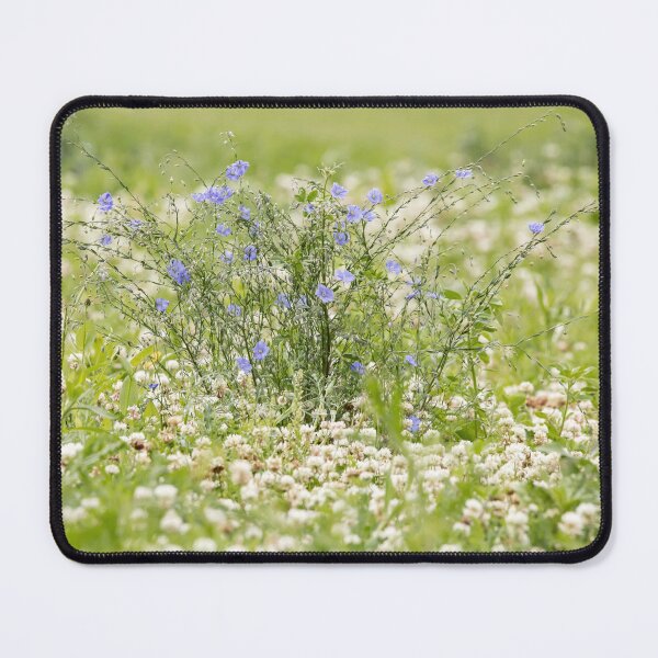 Item preview, Blue flax flowers in a field of clover designed and sold by KRFNatureGifts.