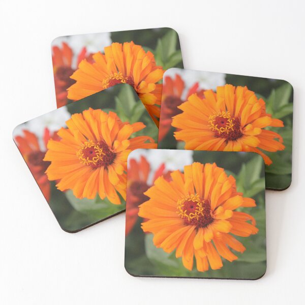 Item preview, Zinnia Photo designed and sold by Sky-99.