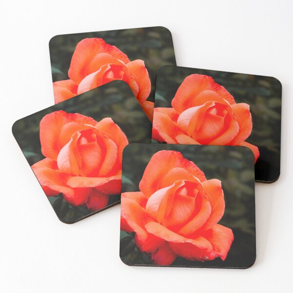 Item preview, Orange Rose designed and sold by PhotosByArt.