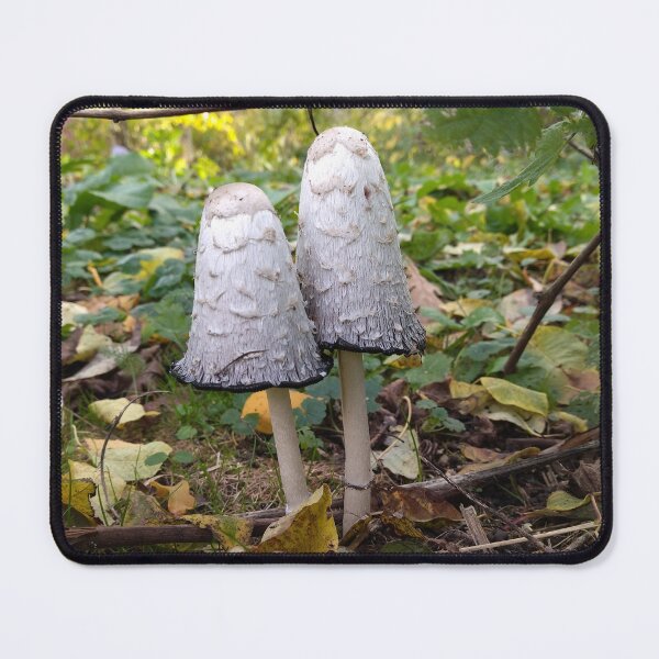 Item preview, Fungi Photo designed and sold by Sky-99.