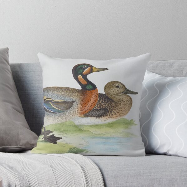 Item preview, Ducks (1855) designed and sold by 19th Century in Color.