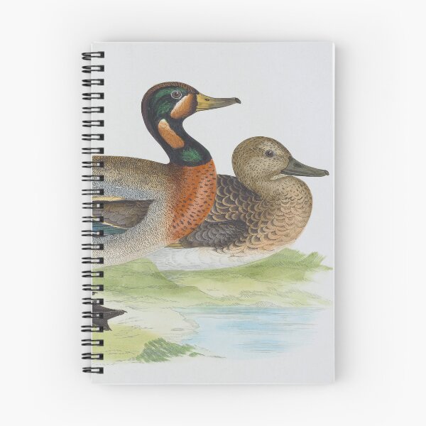 Item preview, Ducks (1855) designed and sold by 19th Century in Color.