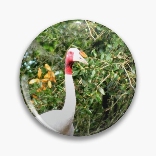 Artikelvorschau, Sarus Kranich entworfen und verkauft von ShutterbugBttns.