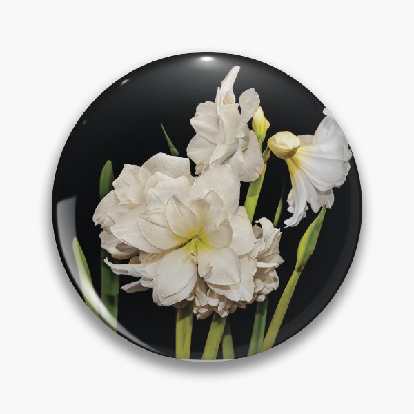 Item preview, White Amaryllis designed and sold by Kay Brewer.