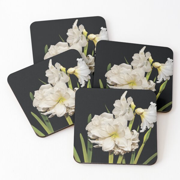 Item preview, White Amaryllis designed and sold by Kay Brewer.