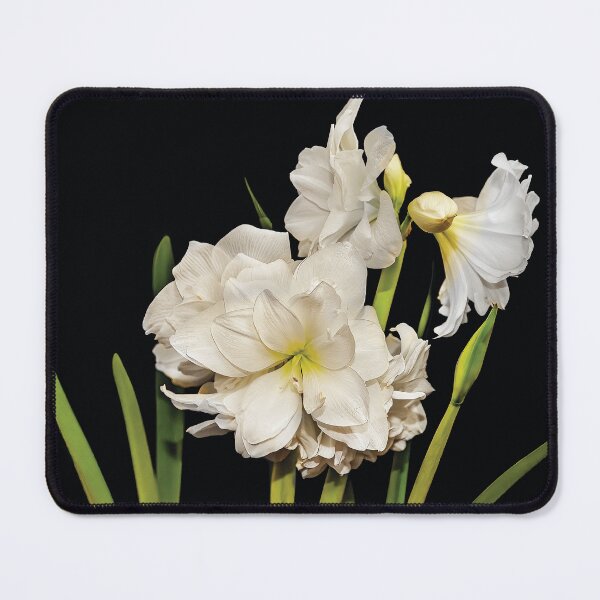 Item preview, White Amaryllis designed and sold by Kay Brewer.