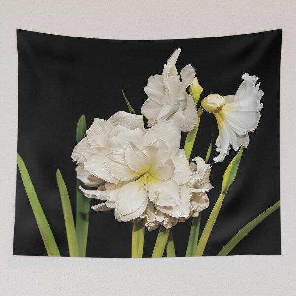 Item preview, White Amaryllis designed and sold by Kay Brewer.