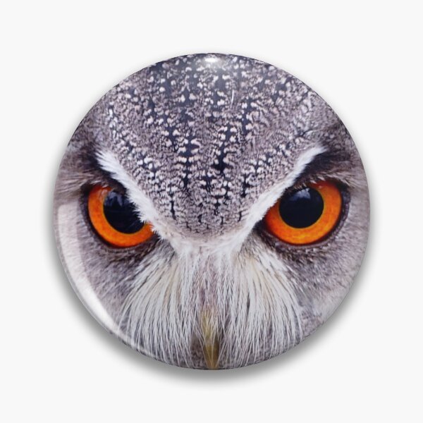 Item preview, Owl, precious animal designed and sold by Tienda-Vane.