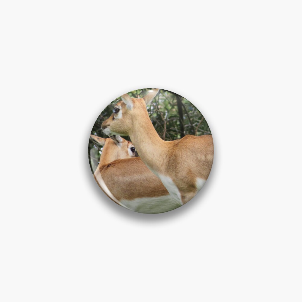 Item preview, Pin designed and sold by ShutterbugBttns.
